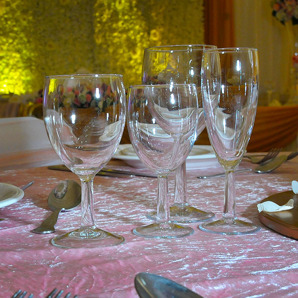 Savoie Stemware Glass Hire