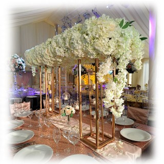 VIP Table Flowered Gold Frame Canopy